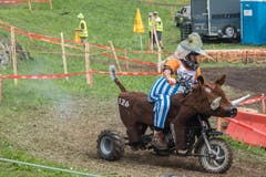 Wenn Obelix gerade mal keine Wildschweine jagt, benützt er sie als Transporttiere. (Bild: Boris Bürgisser, Ennetmoos, 17. August 2019)