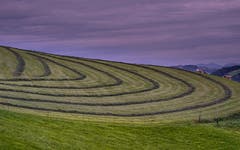 Geometrie der Appenzeller Bauern, aufgenommen bei Waldstatt AR. (Bild: Luciano Pau)