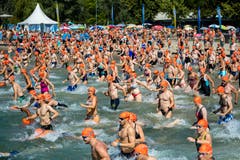 Der Sturm ins Wasser: Am Sonntag fand die 9. Seeüberquerung statt. (Bild: Philipp Schmidli, Luzern, 18. August 2019)