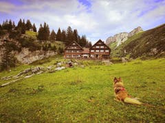 Ankunft am Tagesziel unserer Familienwanderung mit Hund Jersey bei der Bollenwees. (Bild: Bea Segmüller)
