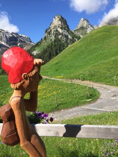 Nicht nur Wanderer, sondern auch diese kunstvolle Holzskulptur beim Alpstubli auf Gitschenen bewundern das wunderschöne Bergpanorma mit Blick auf den Maisander und den Alpler. (Bild: Brigitte Journeaux, 29. Juni 2019)