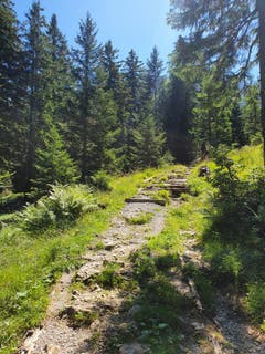 (Bild: Rossella Blattmann)
