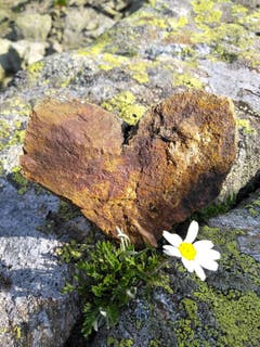 Bei der Wanderung auf die Intschialp wurde dieser schöne Stein in Form eines Herzes entdeckt. (Bild: Priska Briker-Herger)