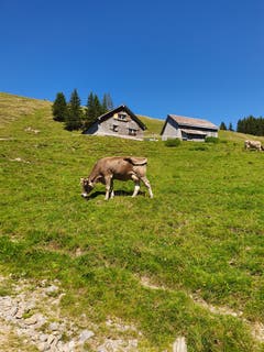 (Bild: Rossella Blattmann)