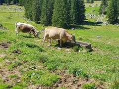 (Bild: Rossella Blattmann)