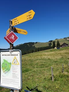 (Bild: Rossella Blattmann)