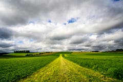 Trotz dicker Wolken lohnt sich ein Spaziergang über das Moos. (Bild: Vinzenz Blum, 21. August 2019)