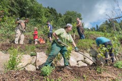 Arbeiten an der Sonnenfalle: Eine natürliche, sonnenexponierte Mulde sorgt für ein warmes Klima. Hier sollen dereinst Pfirsiche, Kakis und Kletterkiwis wachsen. (Bilder: Lisa Jenny)