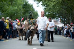 Impressionen des Festumzuges vom Landsgemeindeplatz in die Arena. (Bild: Maria Schmid)