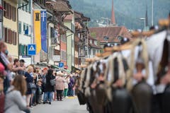 Impressionen des Festumzuges vom Landsgemeindeplatz in die Arena. (Bild: Maria Schmid)