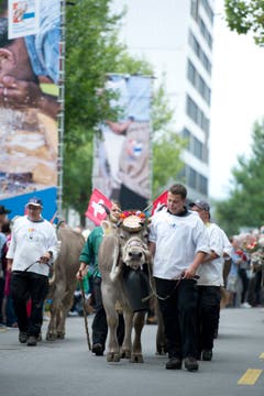Impressionen des Festumzuges vom Landsgemeindeplatz in die Arena. (Bild: Maria Schmid)
