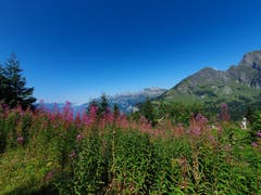Wunderbares Wanderwetter mit besonderer Aussicht beim Aelplichopf. (Bild: Stephan Lendi)