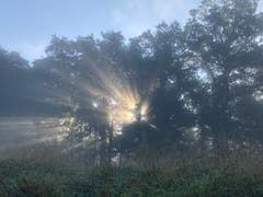 Morgenstimmung in Weinfelden. (Bild: Rahel Hinder)