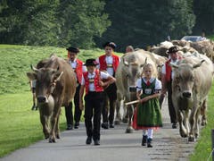 Alpabzug in Brülisau. (Bild: Doris Sieber)