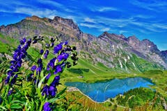 Eine wunderbare Morgenstimmung bei der Wanderung vom Rindertitlis zum Trübsee. (Bild: Hans Burch, Rindertitlis, 9. August 2019)