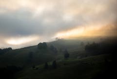 Die Sonnenstrahlen kämpfen sich durch den zähen Nebel und verfärben diesen mit einem sanften, rötlichen Schimmer. (Bild: Nicolas Giovanettoni)