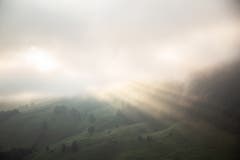 Die ersten Sonnenstrahlen kämpfen sich durch den Nebel.(Bild Nicolas Giovanettoni)