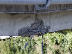 Hier traf der Schwertransport mit der Fräsmaschine die Struktur. (Bild: KEYSTONE/CYRIL ZINGARO)