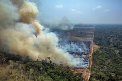 Insgesamt wurden mehr als 79'000 Brände registriert. (Bild: Victor Moriyama / Greenpeace Bra)