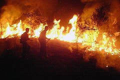 Nach Einschätzung von Naturschützern werden die meisten Brände von Farmern gelegt, um neue Weideflächen für ihr Vieh zu schaffen. (Bild: Firefighters Acre HANDOUT)