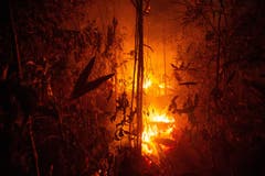 Seit Januar nahm die Zahl der Feuer und Brandrodungen im grössten Land Südamerikas im Vergleich zum Vorjahreszeitraum nach Angaben der brasilianischen Weltraumagentur INPE vom Sonntag um 82 Prozent zu. (Bild: Joedson Alves)