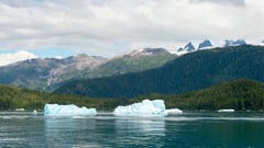 Der Tongass National Forest liegt direkt an der Küste Alaskas (Bild: Keystone/Spiegel Online/Washington Post)