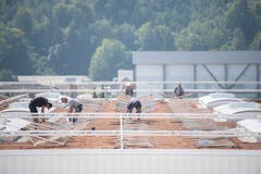 22 000 Quadratmeter des Daches werden begrünt und mit rund 6000 Quadratmetern Solarpanels bestückt.(Bild: Urs Bucher)