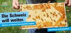 Auch das Klima und die Umwelt gehört seit der Umfrage der Partei bei ihren Mitgliedern zu den Kerngebieten des Wahlkampfs 2019. (Bild: FDP)
