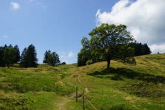 Es folgt ein lockeres auf und ab, bevor es im Zickzack hinunter ins Tal nach Ennetbühl geht.