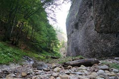 Immer wieder ragen Felswände mit dem für die Region typischen Nagelfluhgestein empor.
