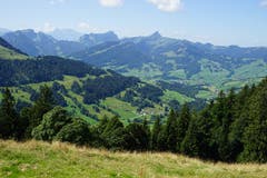 Der Anstieg ist ruppig, doch schon auf halber Höhe öffnet sich der Blick ins Toggenburg.