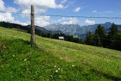 Der Duft von frisch gemähten Wiesen steigt in die Nase.