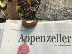 Schneckenpost... (Bild: Patrick Nauer)