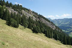 Auf der ganzen Wanderung veranschaulichen Felswände und Hügelzüge immer wieder, wie sich das Sedimentgestein über Jahrtausende zum Alpstein aufgefaltet hat.