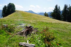Eine inoffizielle Feuerstelle lädt zum Bräteln. Hinweis: Bei Waldbrandgefahr kann die Feuerstelle nicht genutzt werden.