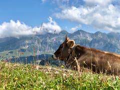 1. August-Wanderung Schwägalp - Hochalp - Urnäsch. (Bild: Karin Rügge-Preisig)