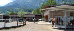 Die Pferde fühlen sich im grossen Hof mit verschiedenen Futterstellen und den angeschlossenen Liegeplätzen sichtlich wohl. Bilder: Adi Lippuner