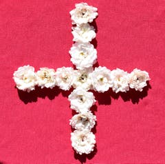 Swiss National Day - Schweizer Bundesfeiertag - Fête nationale suisse - Festa nazionale svizzera. Celebrating the 1st of August 2019 with roses! (Crystal Fairy)(Bild: Sharlene Sutter)