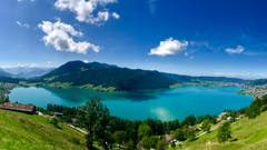 Eine wunderschöne Panorama-Aufnahme vom Ägerisee. (Bild: Peter Bumbacher, Ägeri, 4. August 2019)