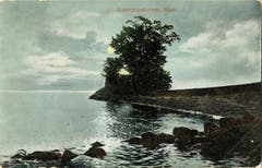 Eine Postkarte von Romanshorn von 1906.