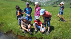 Die Kinder vom Naturerlebnis Zug haben einen Molch gesichtet. (Bild: Naturerlebnis Zug, Rämsenberg, 4. August 2019)