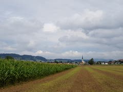 Leserin Irene Wanner nützt die regenfreie Zeit für einen Spaziergang. (Bild: Irene Wanner, Schötz, 7. August 2019)