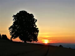 Wunderschöner Sonnenuntergang. (Bild: Urs Gutfleisch, Ruswil, 8. August 2019)