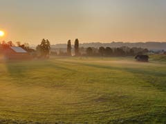 Schöne Morgenstimmung mit Bodennebel in Niederuzwil. (Bild: Stephan Lendi).