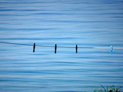 Der Sommer ist vorbei. (Bild: Doris Sieber)