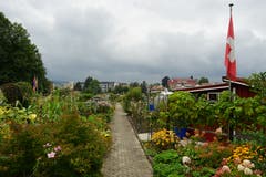 ...doch schon wenige Meter dahinter wird es grün. Im Bild sind die Familiengärten. Ein Idyll.