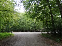Hinter dieser Lichtung ist die Waldschenke. (Bild: Sheila Eggmann)