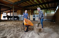 Hof Biberlo Cham: Claudia und Stefan Knüsel betreiben den ersten Aktiv-Stall für Pferde im Kanton Zug. Dabei werden die Tiere automatisch gefüttert und können sich auf dem Gelände und in den Ställen frei bewegen. (Bild: Stefan Kaiser, Cham, 10. September 2019)