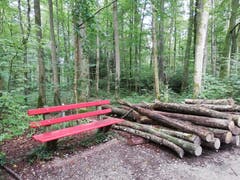 Unterwegs gibt es genügend Bänkli, die zum Verweilen einladen. (Bild: Sheila Eggmann)