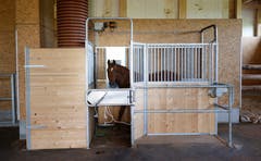 Die Futterautomaten bieten jeweils nur für ein Pferd Platz. Die anderen müssen warten. Das vermeidet Futterneid. (Bild: Stefan Kaiser, Cham, 10. September 2019)